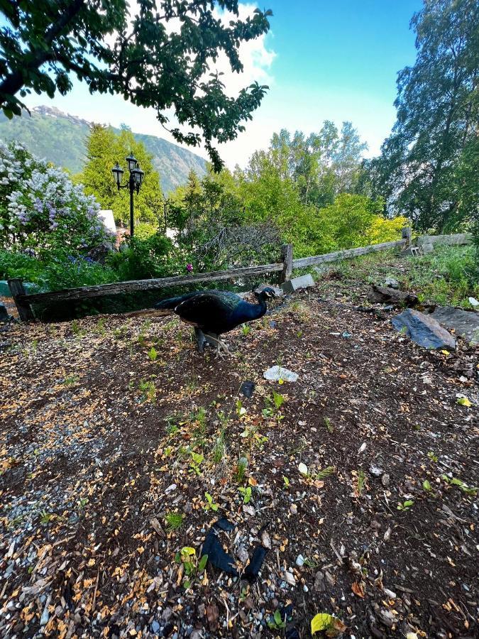Villa Indian Ak 25 Min To Anchorage & 25 Min To Girdwood Esterno foto
